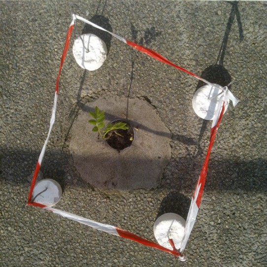 b781fb_0d0f4fc1bcbf4de991b8eea9a1f58f11~mv2-1286